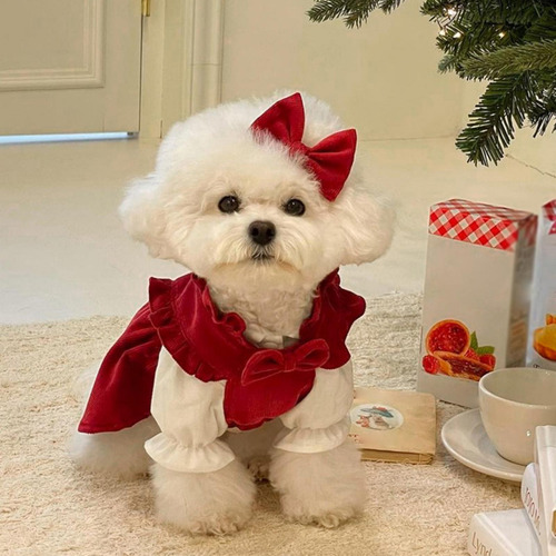 Vestido De Princesa De Navidad Para Cachorros, Conjunto De M