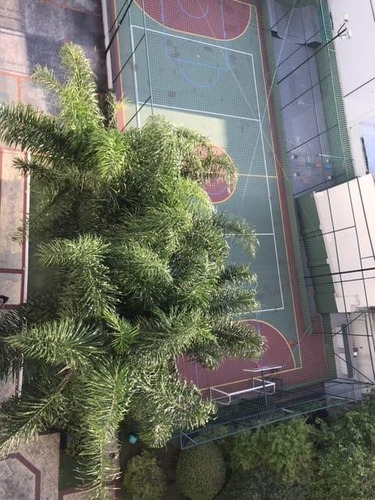 Imagem 10 de 12 de Apartamento Com 2 Dormitórios À Venda, 48 M² Por R$ 361.000,00 - Cambuci - São Paulo/sp - Ap0206