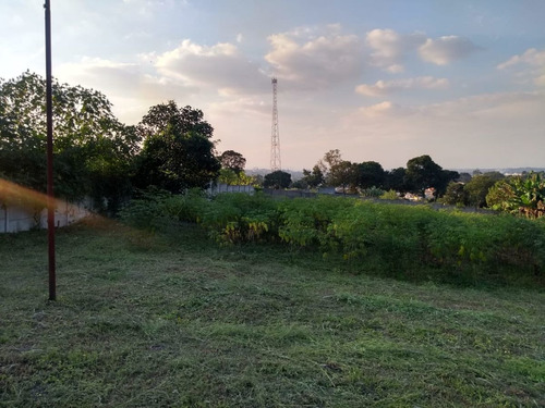 Imagem 6 de 8 de Área Rural - Sítio - 1222