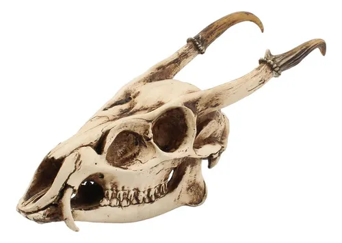 comprar Raqueta De Pádel De Tenis Con Raqueta De Pádel