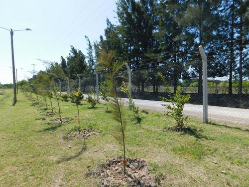 Imagen 4 de 27 de Lote - Venta - Praderas De Cardales - Alto Los Cardales - Zona Norte