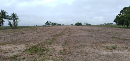 Imagen 3 de 14 de Finca En Venta Vía Sur Con Pista De Aterrizaje