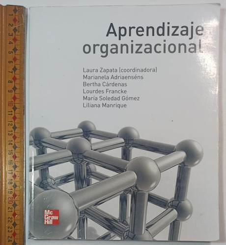 Aprendizaje Organizacional