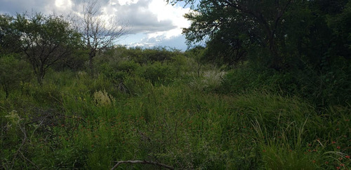 Imagen 5 de 8 de Magnifico Lote De 5000 M2