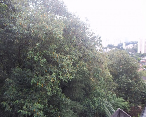 Imagem 24 de 24 de Casa - Lu7238 - 32298873