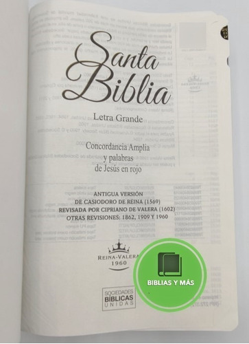 Biblia Rvr1960 Indices Y Letra Grande Concordancia Amplia