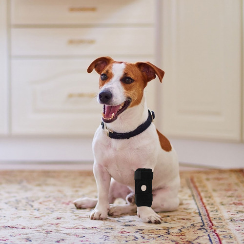 Rodillera Ajustable Para Perros, Patas De Perro Transpirable
