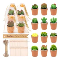 Comprar 12pcs Velas Aromaticas Cactus Verdes Decorativas Con Maceta
