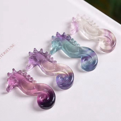 Caballito De Mar Hippocampus Qua, Con Fluorita Natural, Con