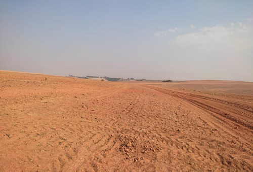 Imagem 8 de 14 de Vendo Fazenda Para Cultura Regiao De Araxa ( 6156 )