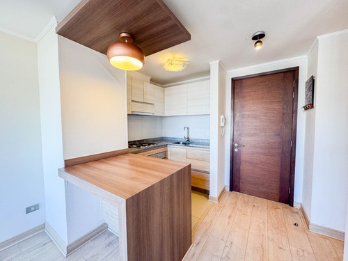 Departamento, Freire · Arriendo $530.000
