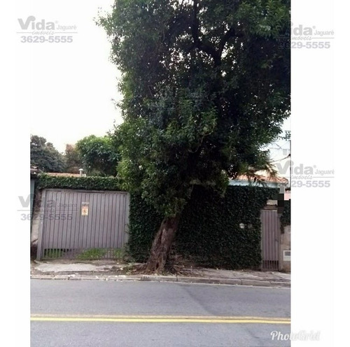 Imagem 3 de 4 de Terreno Em Vila Yara - São Paulo - 203698