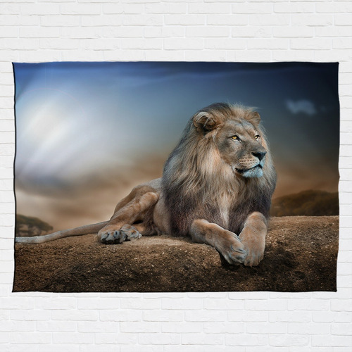 Stompy Bandeira Decorativa Leão Natureza Montanha Nature