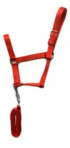 Comprar Bozales Para Caballos Con Cabestro - En Varios Colores