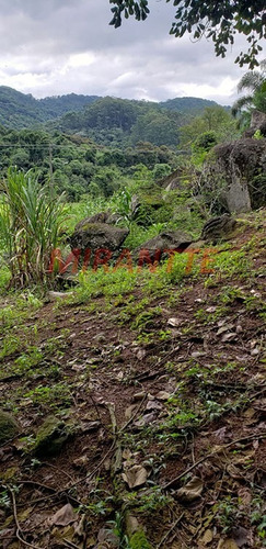 Imagem 13 de 18 de Terreno Em Parque Itaguaçu - São Paulo, Sp - 353933