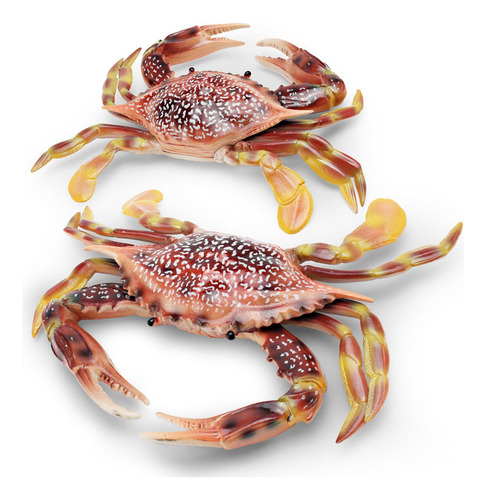 Modelo Simulado De Cangrejo De Animal Marino, Estilo C Para