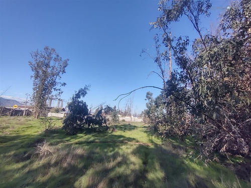 Terreno Construccion En Venta En Olivar