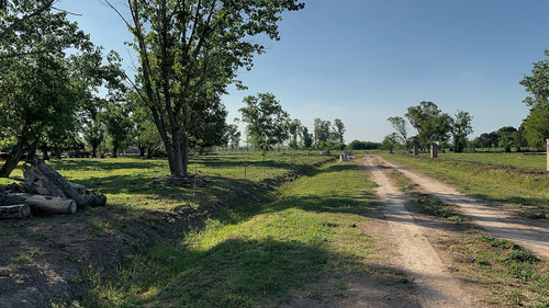 Lotes A La Venta En Olivera, Luján