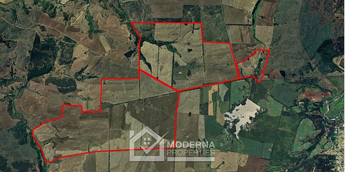 Campo 964 Ha. Con Uva, Forestal Y  Forraje