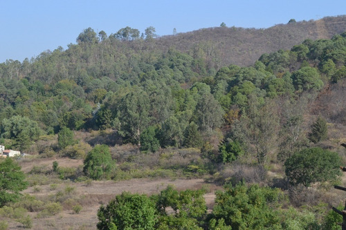 Imagen 2 de 3 de Terreno En Condominio Con Vista Al Lago, Peña Y Bosque.