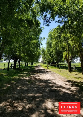 Imagen 1 de 11 de Campo - Marcos Paz