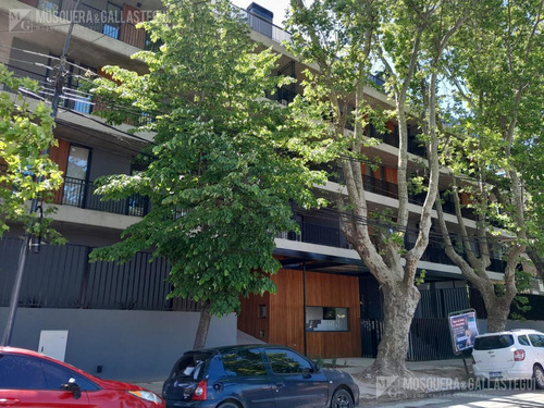 Imagen 3 de 25 de Impecable Departamento A Estrenar! Con Jardín!! Tigre Centro