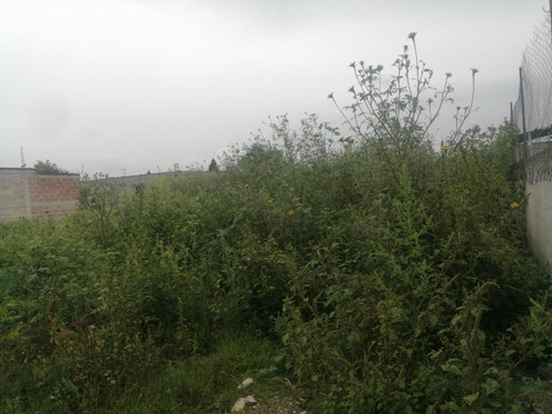 Terreno Habitacional En Venta En Montecillo, Texcoco, México