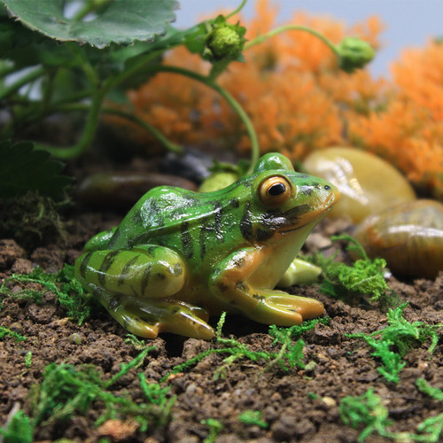 Estatua De Paisaje De Rana Sapo Sapos Anfibios Ranas