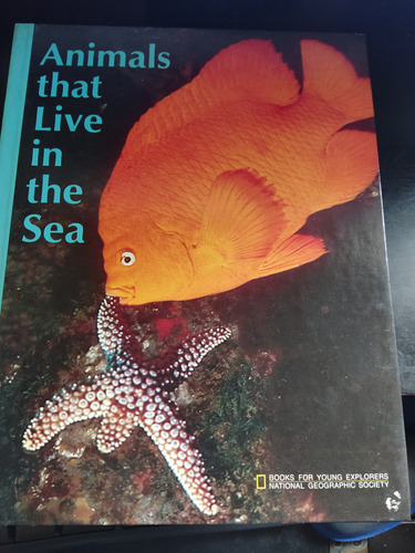 Animals Live In The Sea Young Explorers National Geographic