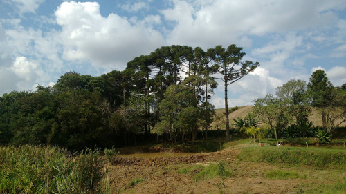Imagem 16 de 16 de Chácara À Venda Em Contenda Pr. - Ch00001 - 68838246