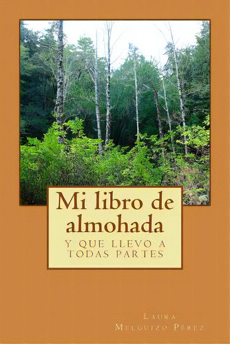 Mi Libro De Almohada: Y Que Llevo A Todas Partes, De Melguizo Perez, Laura. Editorial Createspace, Tapa Blanda En Español