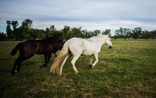 Imagen 9 de 10 de Venta Lote En La Asuncion Club De Campo