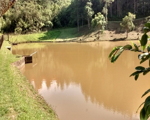 Imagem 5 de 30 de Sítio Rico Em Água Com Extenso Represa À Venda Em Juquitiba. - 45 - 32982658