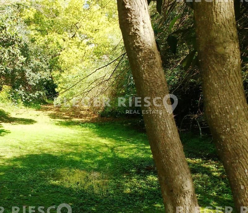 Terreno Lote En Venta Ubicado En Acassuso, Zona Norte