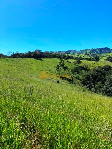 Imagem 9 de 16 de Rural Chacara - 234221-v