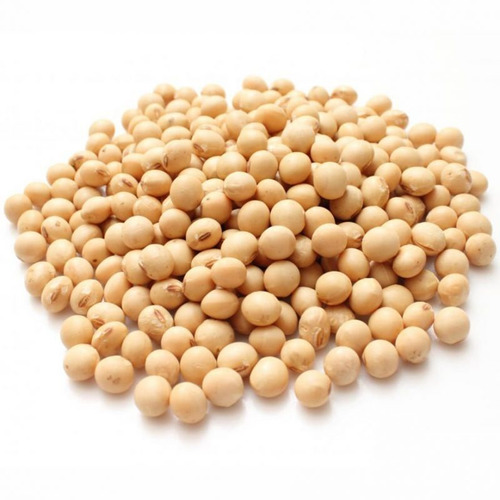 Porotos De Soja Premium - 5 Kg