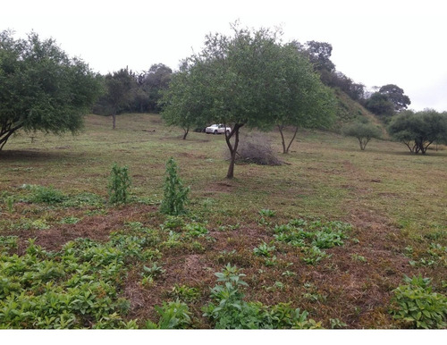 Terreno En Raco R341 Km 12, 6,8ha Con Loma Natural U$d3 X M2