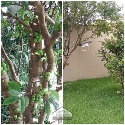 Imagem 4 de 15 de Sobrado Horto Florestal 3 Dormitórios 4 Vagas! - 10030-1