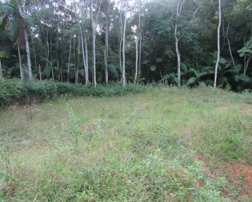 Imagem 8 de 21 de Terreno - 04611 - 33229241