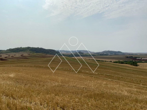 Imagem 5 de 8 de Fazenda Para Plantio Próximo A Londrina (71,05 Alqueires) - Mi1373