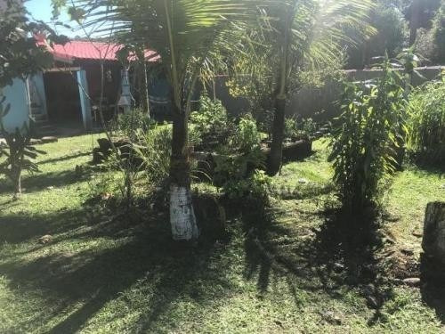Chácara Com Piscina E 4 Quartos Em Itanhaém Sp - 6842 | Npc
