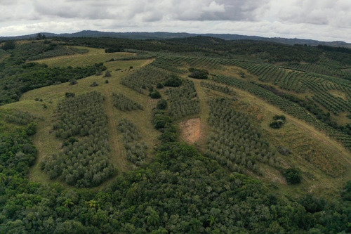 Imagen 22 de 30 de Campo Ovicola En Garzon - 212 Hectareas