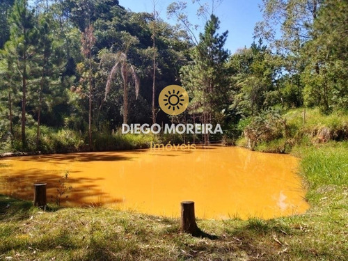 Imagem 4 de 15 de Chácara Á Venda Em Terra Preta Com 2.300 M² - Ch107