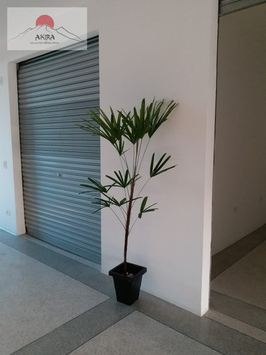 Imagem 5 de 10 de Vendo Prédio Comercial 3 Pav. Com Renda Em Jardim São João - 180