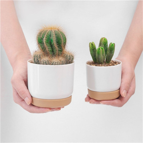 Macetas Para Orquídeas Maceta De Cerámica Para Flores De Int