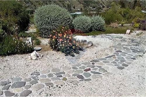 Campo En Venta - Colliguay- Iv Region-paltas