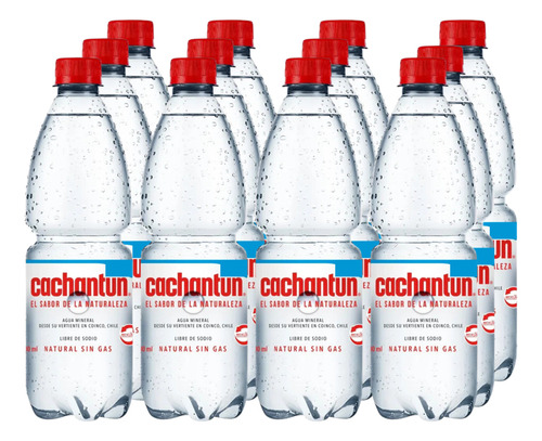 Cachantún - Agua Mineral Sin Gas (pack De 12 Botellas)