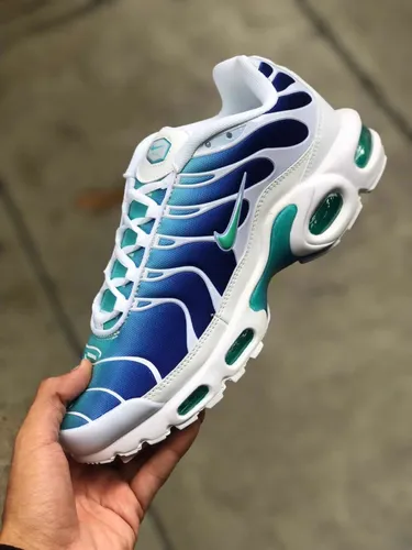 Zapatos Nike Air Tn Hombre MercadoLibre