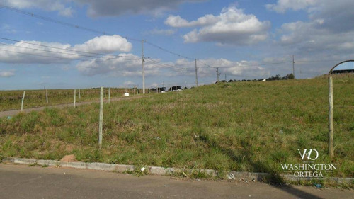 Imagem 4 de 7 de Terreno À Venda, 629 M² Por R$ 349.000,00 - Costeira - Araucária/pr - Te0190