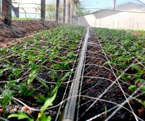 Mangueira Santeno 2 Microperfurada Irrigação 100m Promoçao